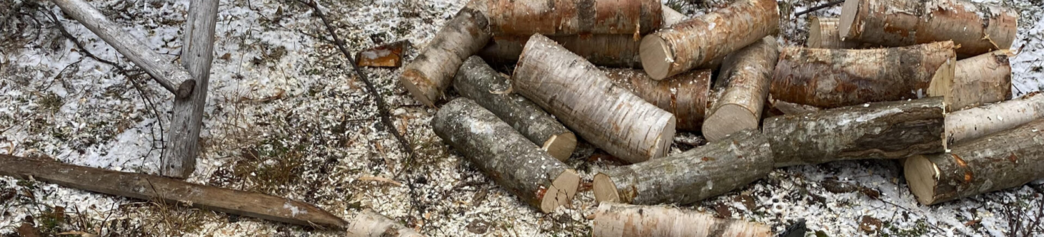 Petter M. Lindstad - rydder vei for naturmangfoldet